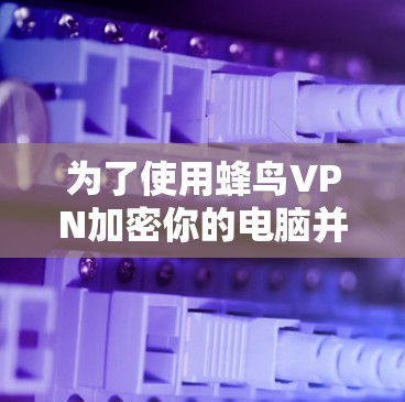 为了使用蜂鸟VPN加密你的电脑并使用Windows进行处理，您可以按照以下步骤进行操作