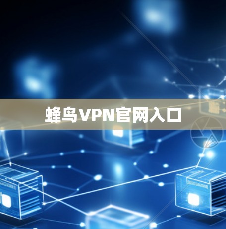 蜂鸟VPN官网入口