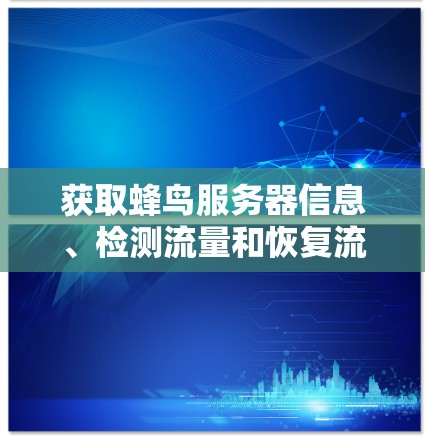 获取蜂鸟服务器信息、检测流量和恢复流量是保护蜂鸟数据流量安全的关键步骤。以下是一个有条理的指南，帮助您完成这些任务