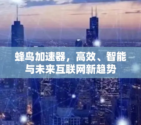 蜂鸟加速器，高效、智能与未来互联网新趋势