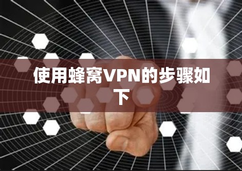 使用蜂窝VPN的步骤如下