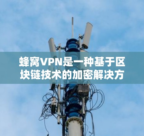 蜂窝VPN是一种基于区块链技术的加密解决方案，旨在提供高安全性和低延迟的网络连接。以下是对蜂窝VPN的详细分析