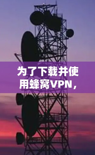 为了下载并使用蜂窝VPN，您可以按照以下步骤操作