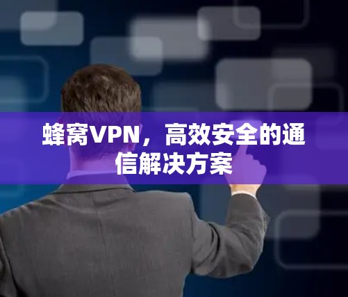 蜂窝VPN,高效安全的通信解决方案 蜂窝VPN,高效安全的通信解决方案
