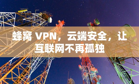 蜂窝 VPN，云端安全，让互联网不再孤独
