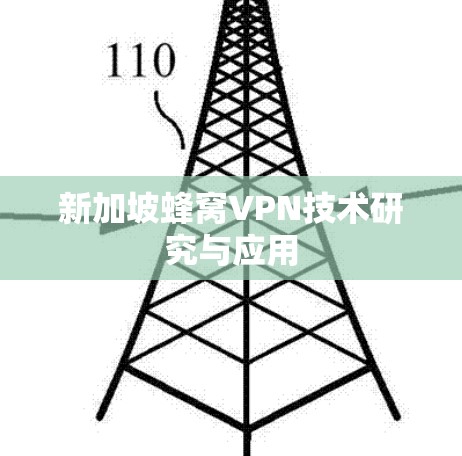 新加坡蜂窝VPN技术研究与应用