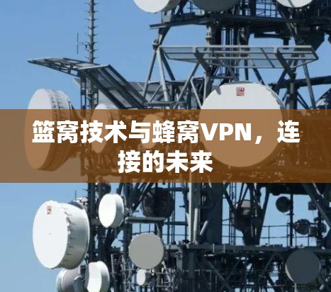 篮窝技术与蜂窝VPN，连接的未来