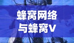 蜂窝网络与蜂窝VPN，delivering unimaginable speeds and security