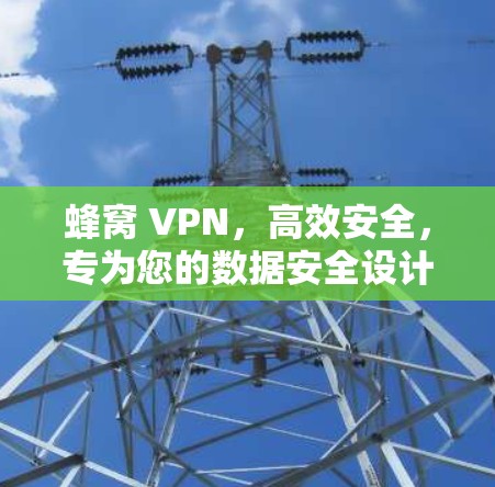 蜂窝 VPN，高效安全，专为您的数据安全设计