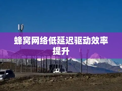蜂窝网络低延迟驱动效率提升