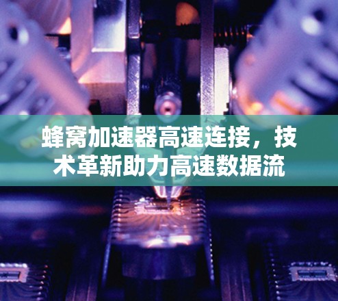 蜂窝加速器高速连接，技术革新助力高速数据流