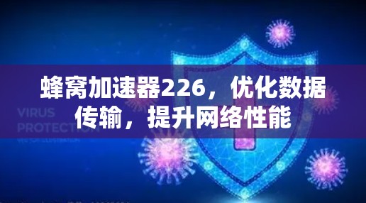蜂窝加速器226，优化数据传输，提升网络性能