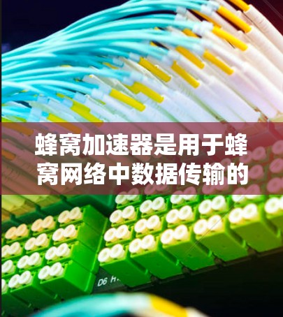 蜂窝加速器是用于蜂窝网络中数据传输的设备，尤其在海外节点中应用，可以显著提高数据传输效率。以下是对蜂窝加速器在海外节点中的详细分析