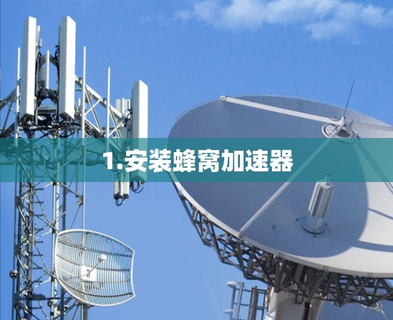 1.安装蜂窝加速器