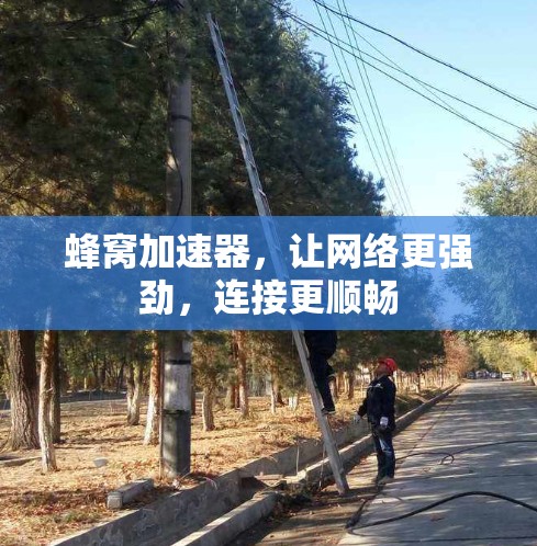 蜂窝加速器，让网络更强劲，连接更顺畅