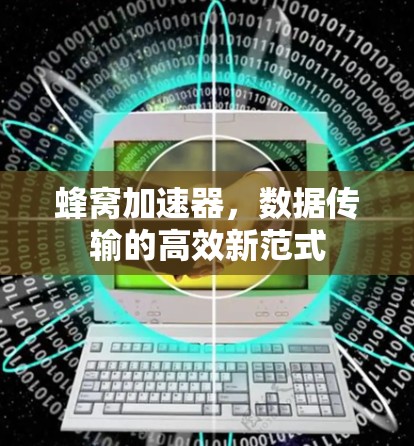 蜂窝加速器,数据传输的高效新范式 蜂窝加速器,数据传输的高效新范式