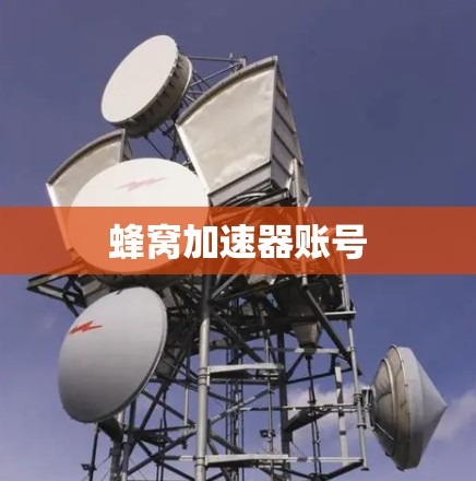 蜂窝加速器账号 蜂窝加速器账号