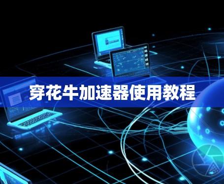 穿花牛加速器使用教程