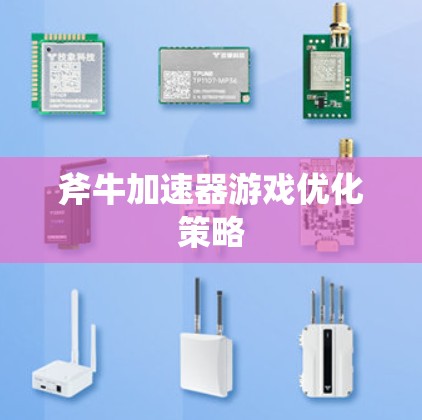 斧牛加速器游戏优化策略