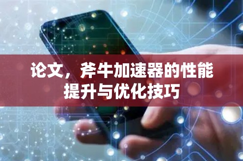 论文,斧牛加速器的性能提升与优化技巧 论文,斧牛加速器的性能提升与优化技巧