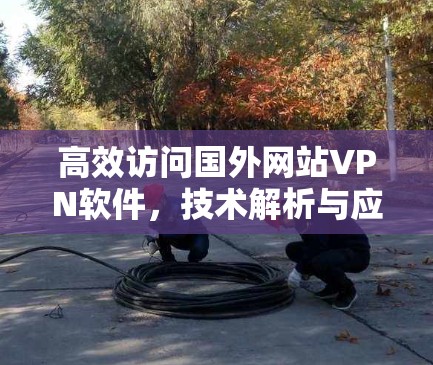 高效访问国外网站VPN软件,技术解析与应用策略 高效访问国外网站VPN软件,技术解析与应用策略
