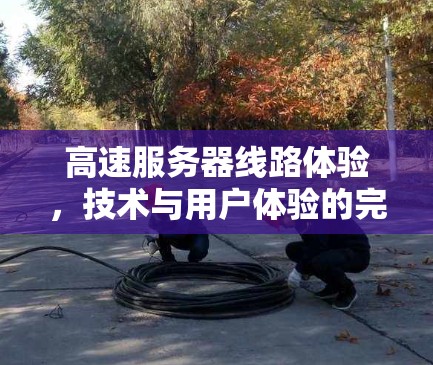 高速服务器线路体验,技术与用户体验的完美结合 高速服务器线路体验,技术与用户体验的完美结合