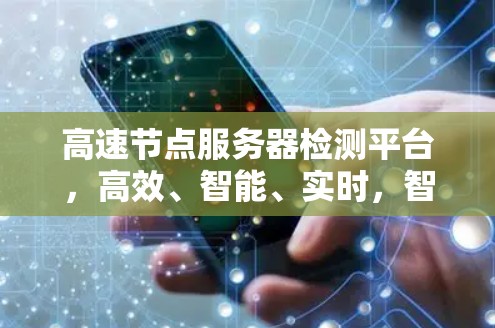 高速节点服务器检测平台，高效、智能、实时，智能检测与实时监控