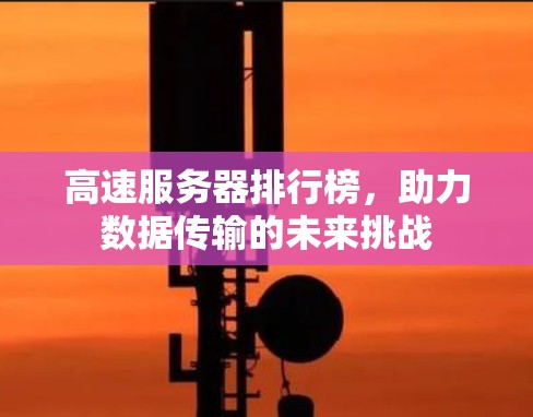 高速服务器排行榜,助力数据传输的未来挑战 高速服务器排行榜,助力数据传输的未来挑战