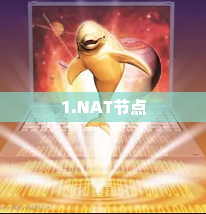 1.NAT节点 1.NAT节点