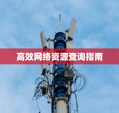 高效网络资源查询指南