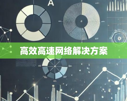 高效高速网络解决方案