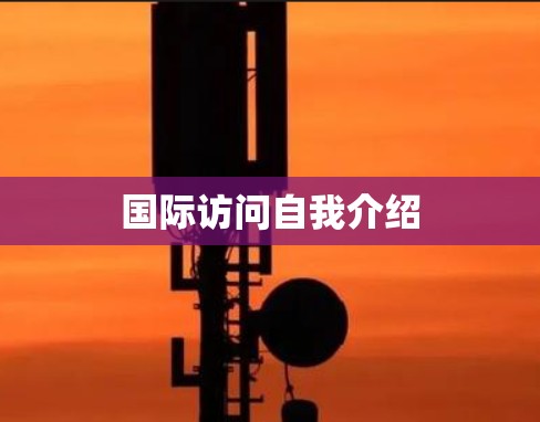 国际访问自我介绍