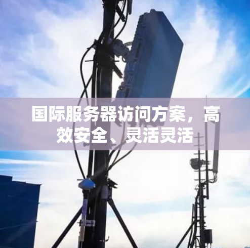 国际服务器访问方案，高效安全、灵活灵活