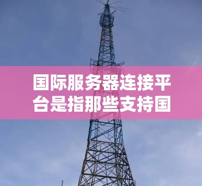 国际服务器连接平台是指那些支持国际用户访问服务器的软件或服务，旨在为全球用户提供便捷的网络连接体验。以下是对国际服务器连接平台的详细分析