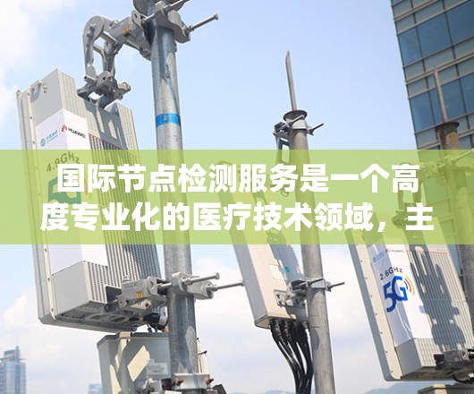 国际节点检测服务是一个高度专业化的医疗技术领域，主要用于诊断和评估组织结构中的节点，广泛应用于癌症治疗和医学研究。以下是对该服务的系统总结