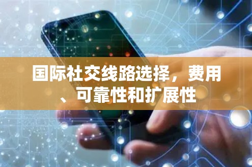 国际社交线路选择，费用、可靠性和扩展性