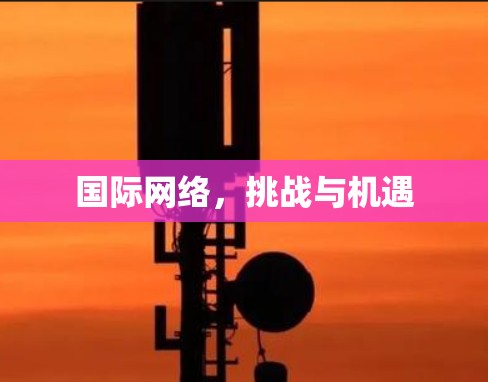 国际网络，挑战与机遇