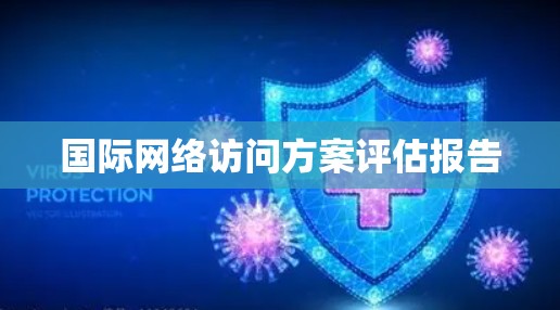 国际网络访问方案评估报告