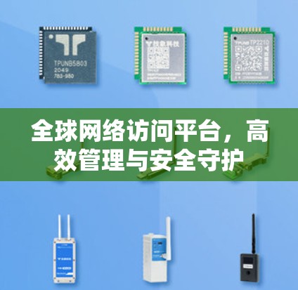全球网络访问平台,高效管理与安全守护 全球网络访问平台,高效管理与安全守护