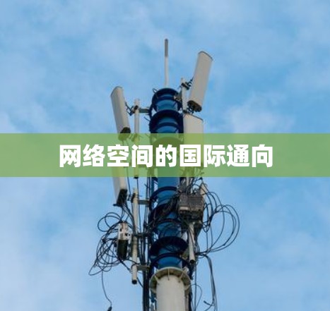 网络空间的国际通向