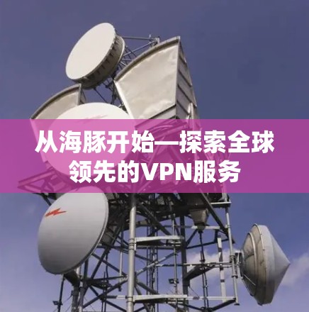 从海豚开始—探索全球领先的VPN服务