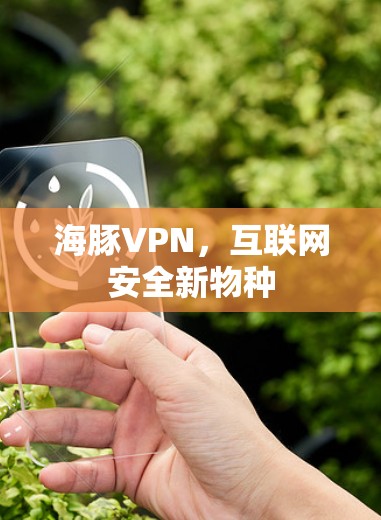 海豚VPN，互联网安全新物种