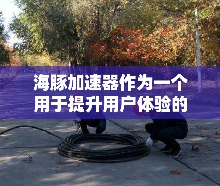 海豚加速器作为一个用于提升用户体验的工具，通常支持多种格式和平台，包括国际服加速。如果你正在寻找适合国际服加速的工具，以下是一些建议
