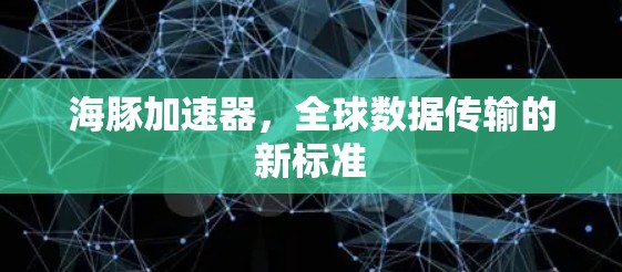 海豚加速器，全球数据传输的新标准