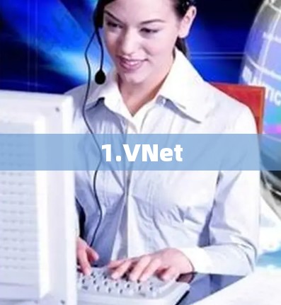 1.VNet