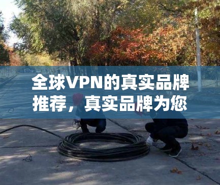 全球VPN的真实品牌推荐，真实品牌为您量身定制
