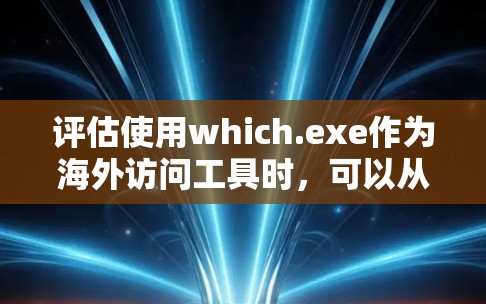评估使用which.exe作为海外访问工具时，可以从以下几个关键方面进行分析