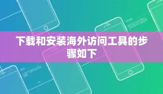 下载和安装海外访问工具的步骤如下