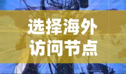 选择海外访问节点时,需要综合考虑多个因素以确保翻译服务高效且准确。以下是详细的步骤指南 选择海外访问节点时,需要综合考虑多个因素以确保翻译服务高效且准确。以下是详细的步骤指南