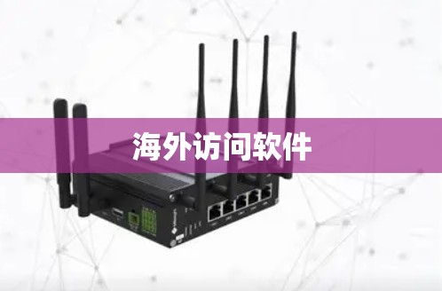 海外访问软件 海外访问软件